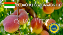 Budaörsi őszibarack IGP - Ungheria