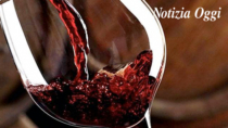 I vini Gattinara DOP potranno indicare anche la "vigna"