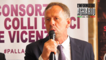 Consorzio di tutela Colli Berici: terzo mandato per Silvio Dani