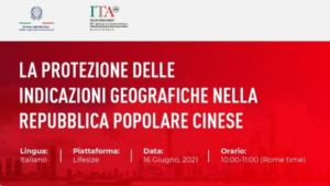 Webinar ICE