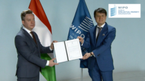 Indicazioni Geografiche, WIPO: l