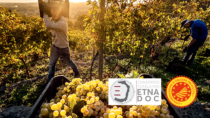 Consorzio Tutela Vini Etna DOC: l’imbottigliato del primo semestre del 2022 cresce del 30%