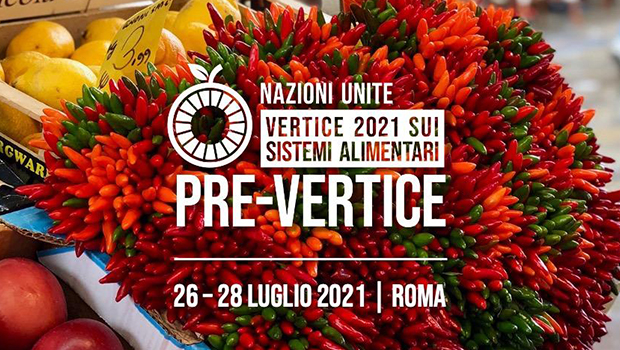 Pre-Vertice Sistemi Alimentari