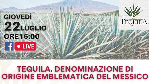 Tequila - conferenza