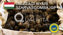 Jászsági nyári szarvasgomba IGP - Ungheria