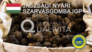 Jászsági Nyári Szarvasgomba IGP
