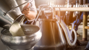 Latte - Giornale di Brescia