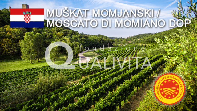 Muškat momjanski DOP