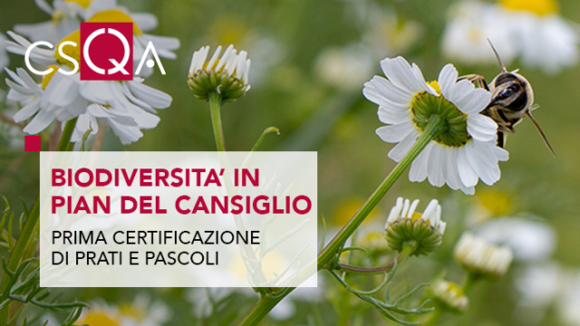 CSQA - biodiversità