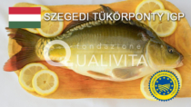 Szegedi Tükörponty IGP - Ungheria