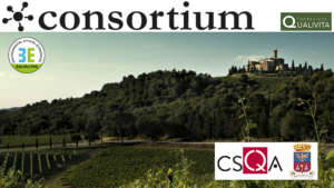 Vino sostenibile