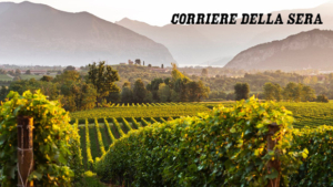 franciacorta