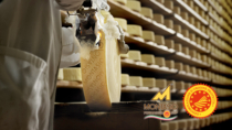 Il formaggio Montasio DOP a Friuli DOC 2023: “Un Sapore Senza Tempo”
