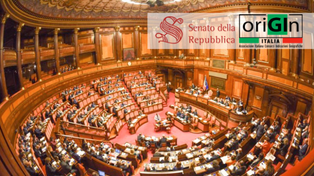 OriGIn Italia - Senato