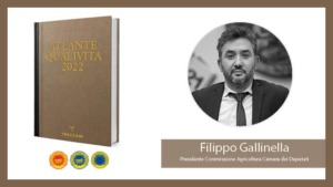 Gallinella