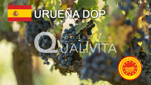 Urueña DOP