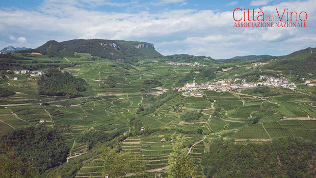 Vini del Trentino