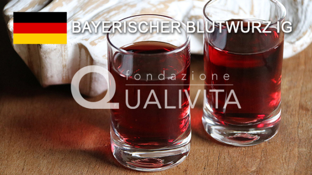 Bayerischer Blutwurz IG