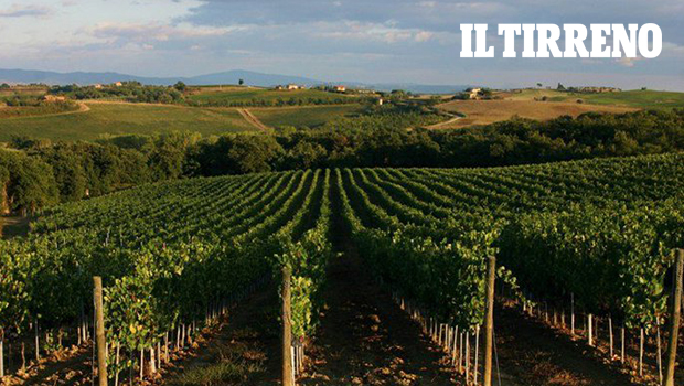 Vino Nobile di Montepulciano