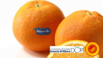 Arancia di Ribera DOP, scoperte false arance destinate alla Gdo