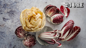 radicchio