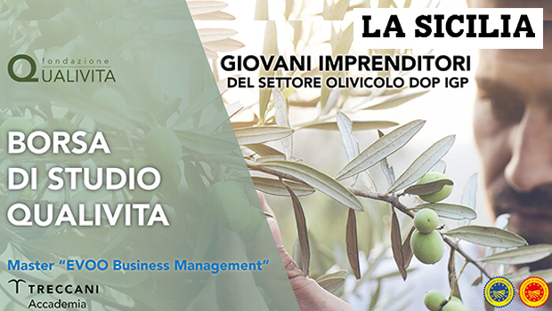 Borsa di Studio Qualivita
