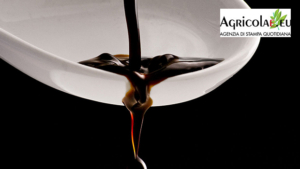 Aceto Balsamico