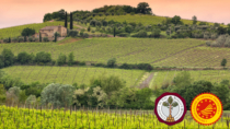 Consorzio del vino Brunello di Montalcino: eletto il nuovo consiglio di amministrazione