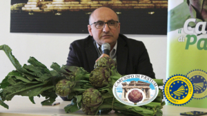 Carciofo di Paestum IGP