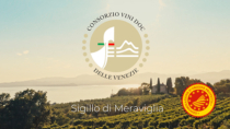 “Sigillo di meraviglia”: il Delle Venezie DOP Pinot Grigio torna al Vinitaly con una veste tutta nuova