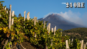 etna dop
