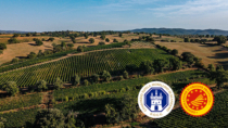 Il Consorzio Morellino di Scansano a Wine Paris 2025