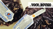 Cozza di Scardovari DOP produzione azzerata e cresce l