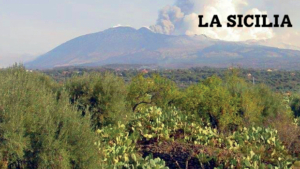 Monte Etna DOP