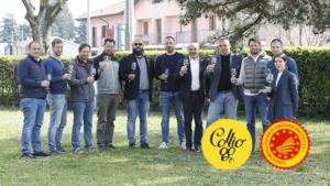 Vini Collio