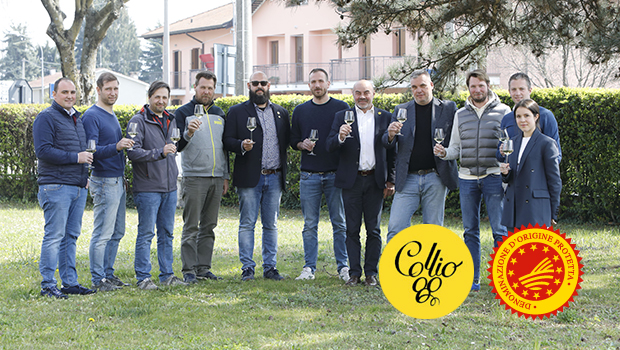 Vini Collio