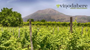 Campania.wine