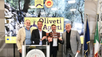 Il 18-19 giugno torna Oliveti Aperti, la Liguria celebra l’olivicoltura eroica  da Ponente a Levante