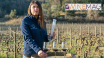 Il Consorzio Vino Montescudaio DOP punta al rilancio in Toscana