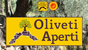 Oliveti aperti