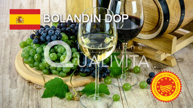 bolandin DOP