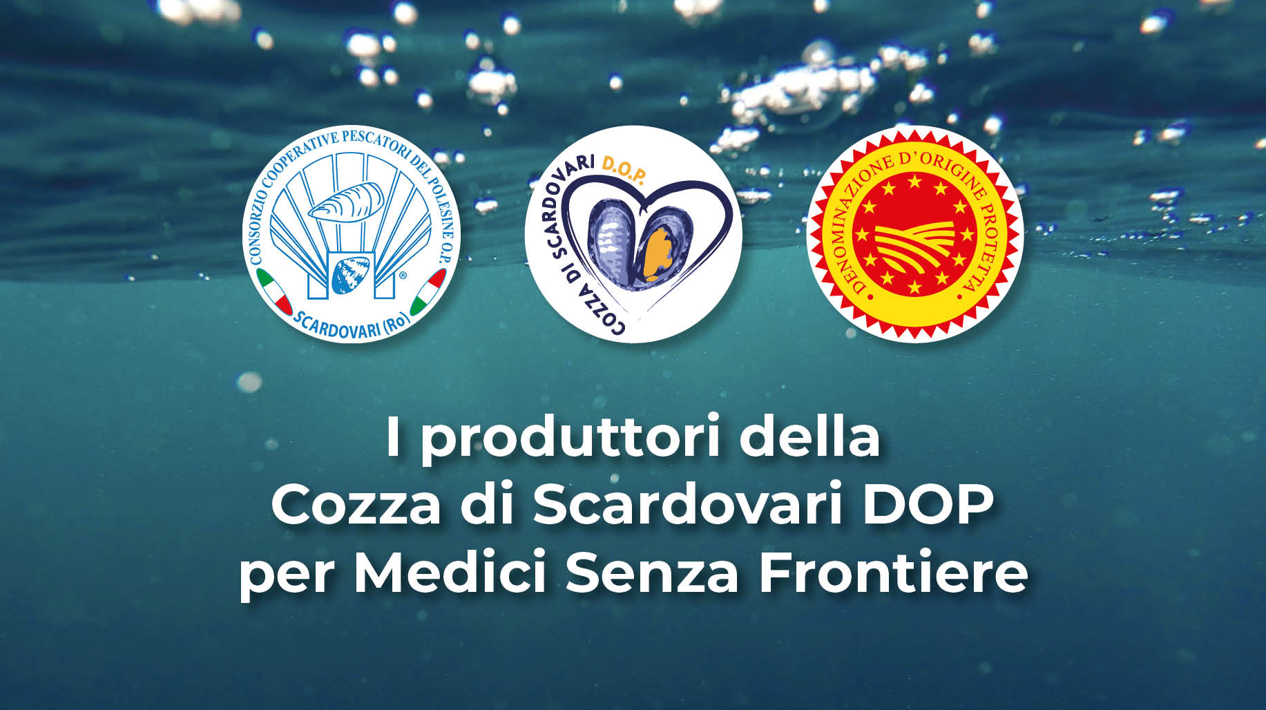 Cozza di Scardovari DOP