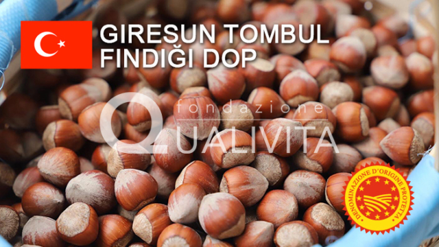 Giresun Tombul Fındığı DOP