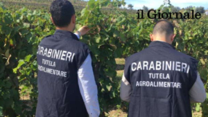 CARABINIERI TUTELA AGROALIMENTARE