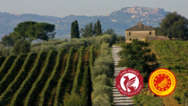 Il Vino Nobile di Montepulciano DOP è la prima denominazione italiana a ricevere la certificazione di sostenibilità