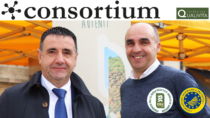 Agnello di Sardegna IGP: simbolo di sostenibilità e resilienza di un territorio