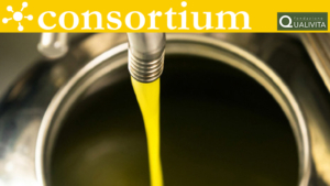 Comparto Olio in Italia
