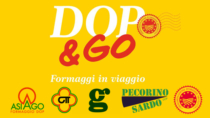 Asiago DOP, Gorgonzola DOP, Pecorino Sardo DOP e Taleggio DOP: ultima tappa del tour "DOP & GO"