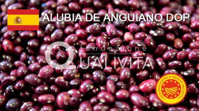 Alubia de Anguiano DOP
