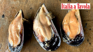 cozza di scardovari